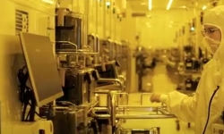 lab