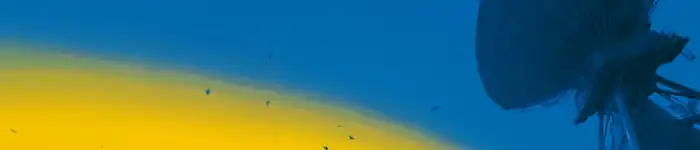 Ukraine-3