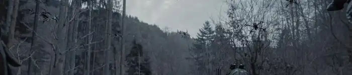 Drones
