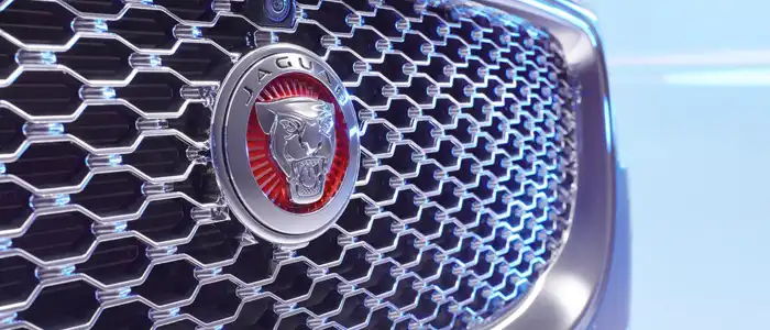 jaguar-sigil-grill