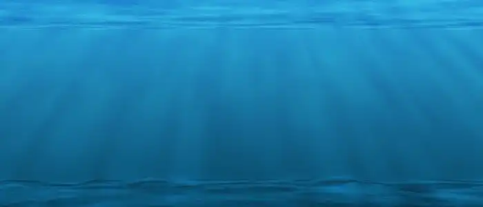 Buddy-Nath-underwater-sea