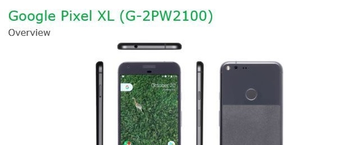 Pixel-Google-overview